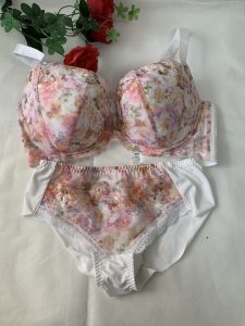 Triumph(トリンプ)天使のブラ高価買取
