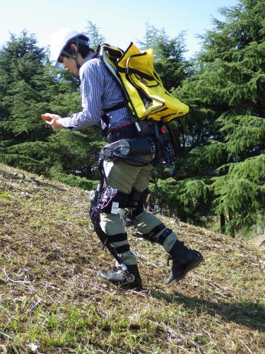 Prototype of power-assist suit for forestry