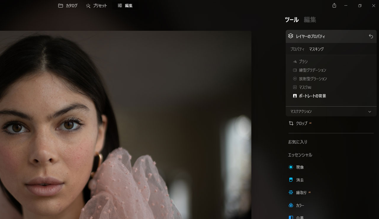 Luminar Neo 1 1 0 ポートレートの背景削除 Yet Another Pudding Luminar Neo 1 1 0 ポートレートの背景削除 Yet Another Pudding