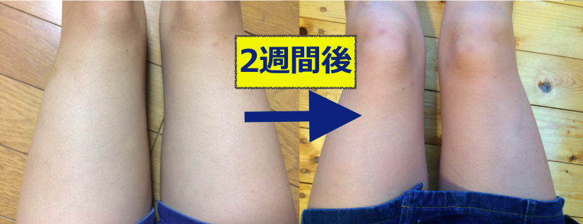 Dd9b8289a2e7cbfb