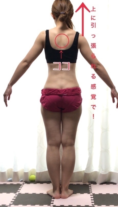 Aa445c4e948b8ce4