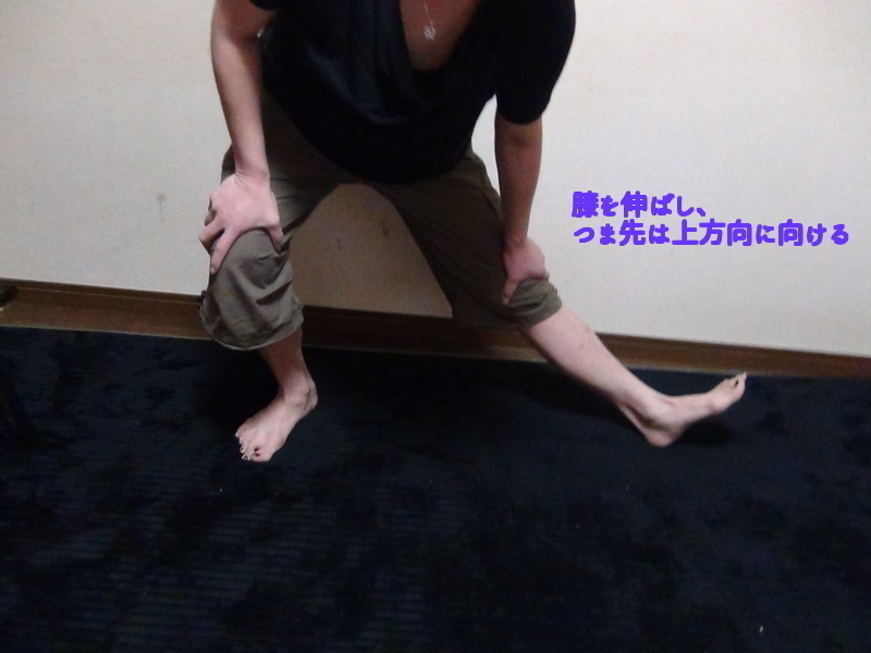 01a88136ed4a6cae