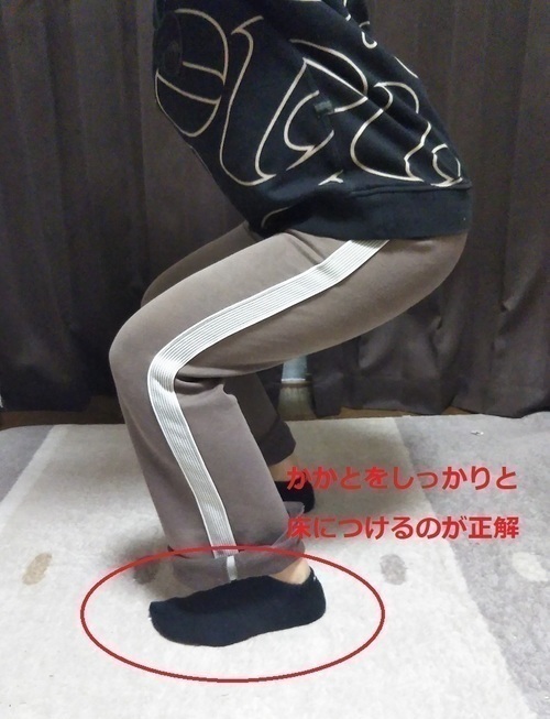 0f505ed48ce87b54