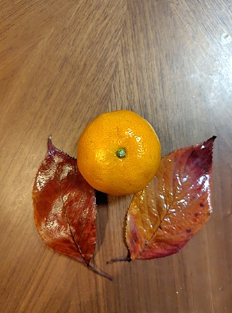 遠野　穏空　とおの　おんくうさんのプロフィール画像