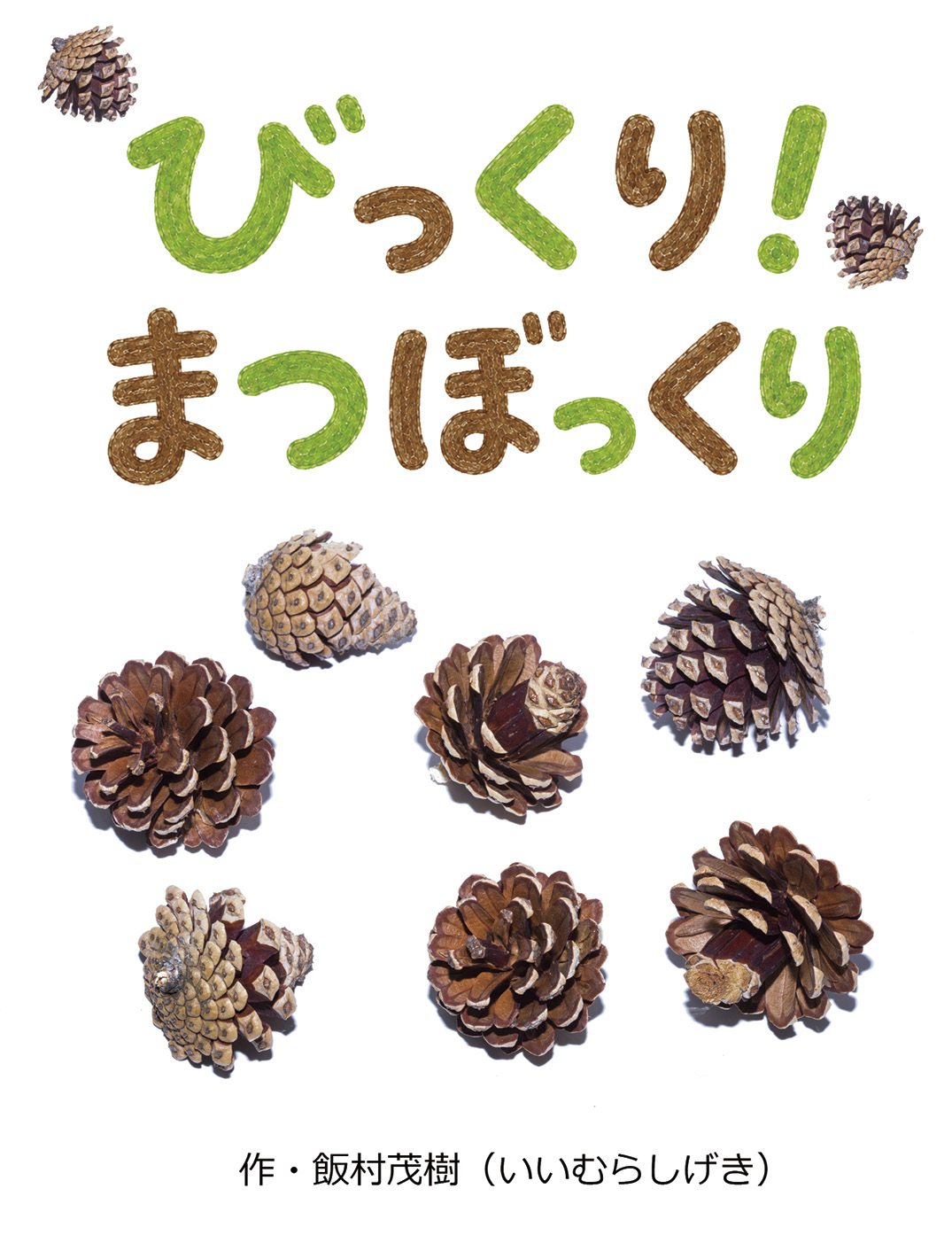 まつぼっくりページ びっくり！まつぼっくり - 飯村茂樹 | YOMO