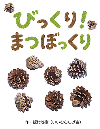 びっくり！まつぼっくり