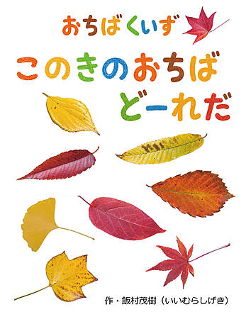 おちばくいず このきのおちば どーれだ