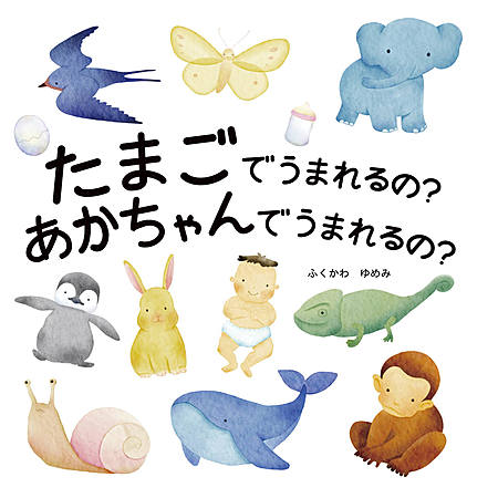 たまごでうまれるの？あかちゃんでうまれるの？