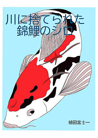 川に捨てられた錦鯉のシロ