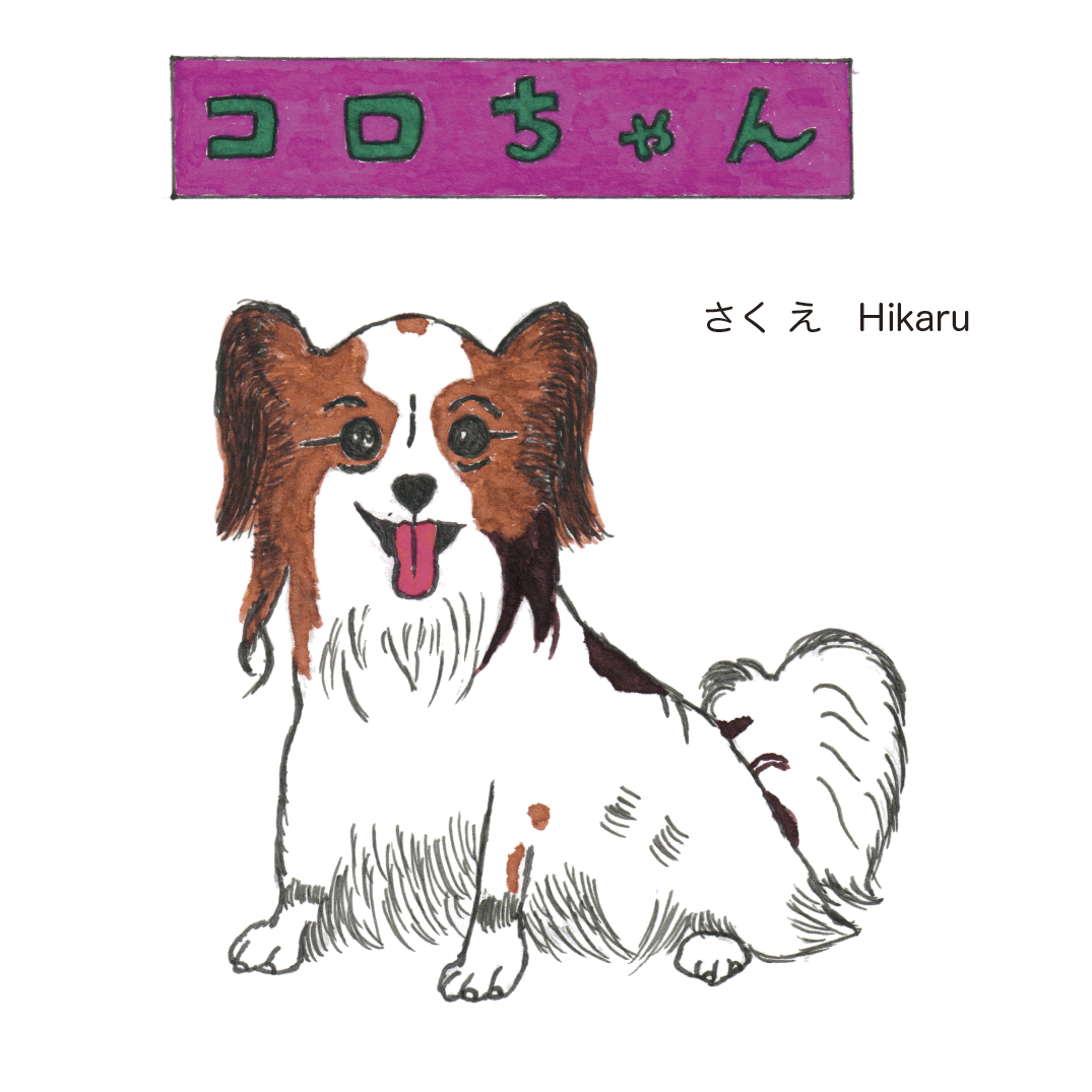 コロちゃん コロちゃん - Hikaru | YOMO