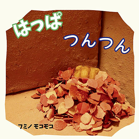 はっぱ　つんつん
