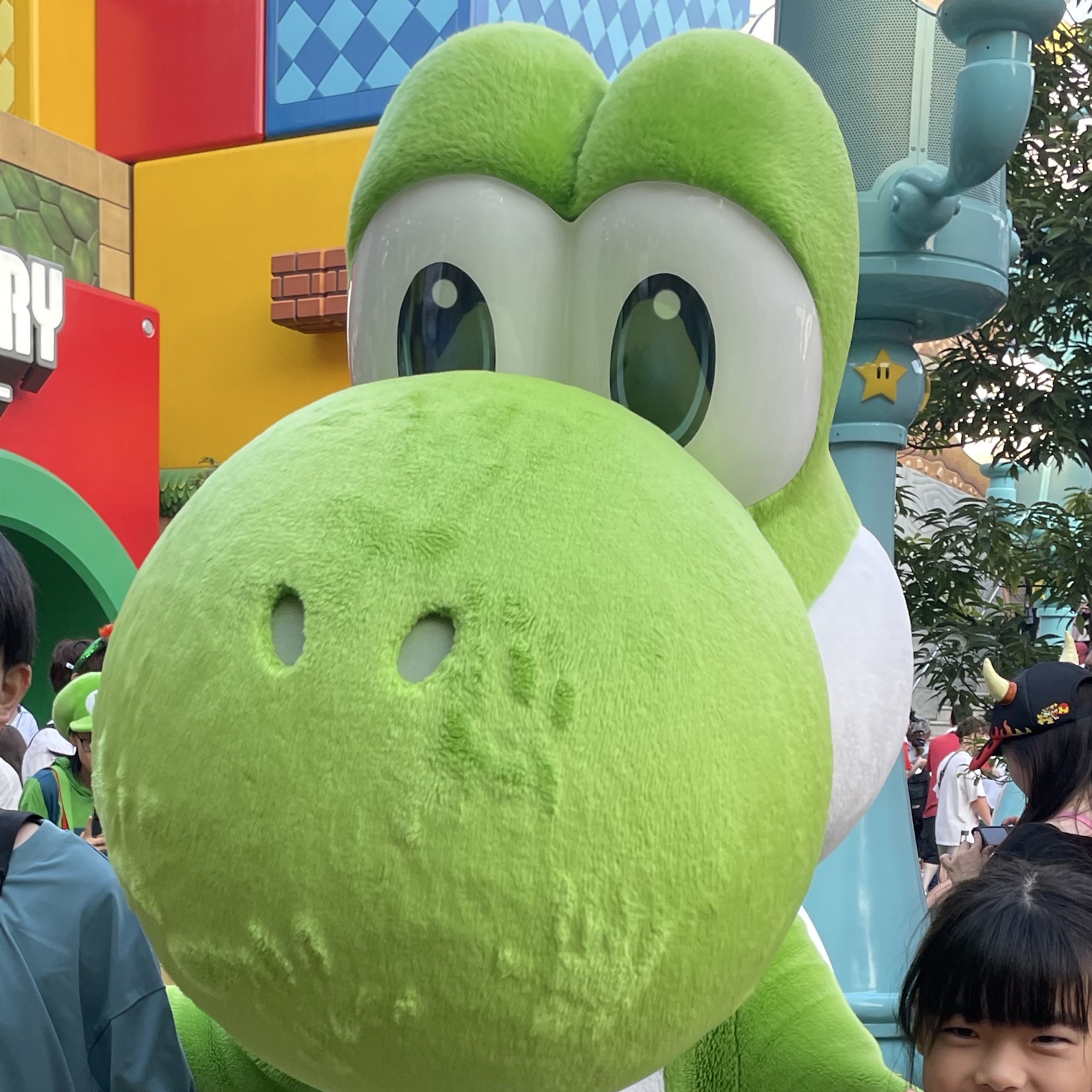 ヨッシーズ