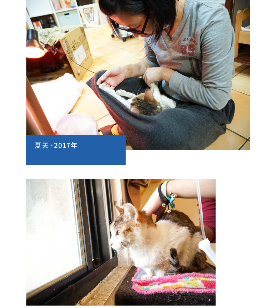 嘖嘖 窩窩u2014 為動物燒聲的報導計畫