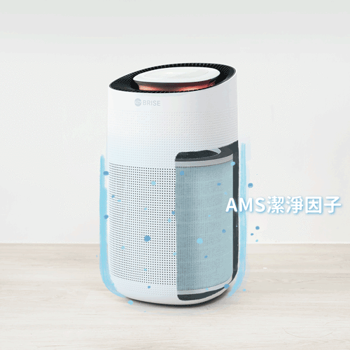 BRISE C260 強效抗菌前置濾網 (Breathe Bio) - asset 223517 image big