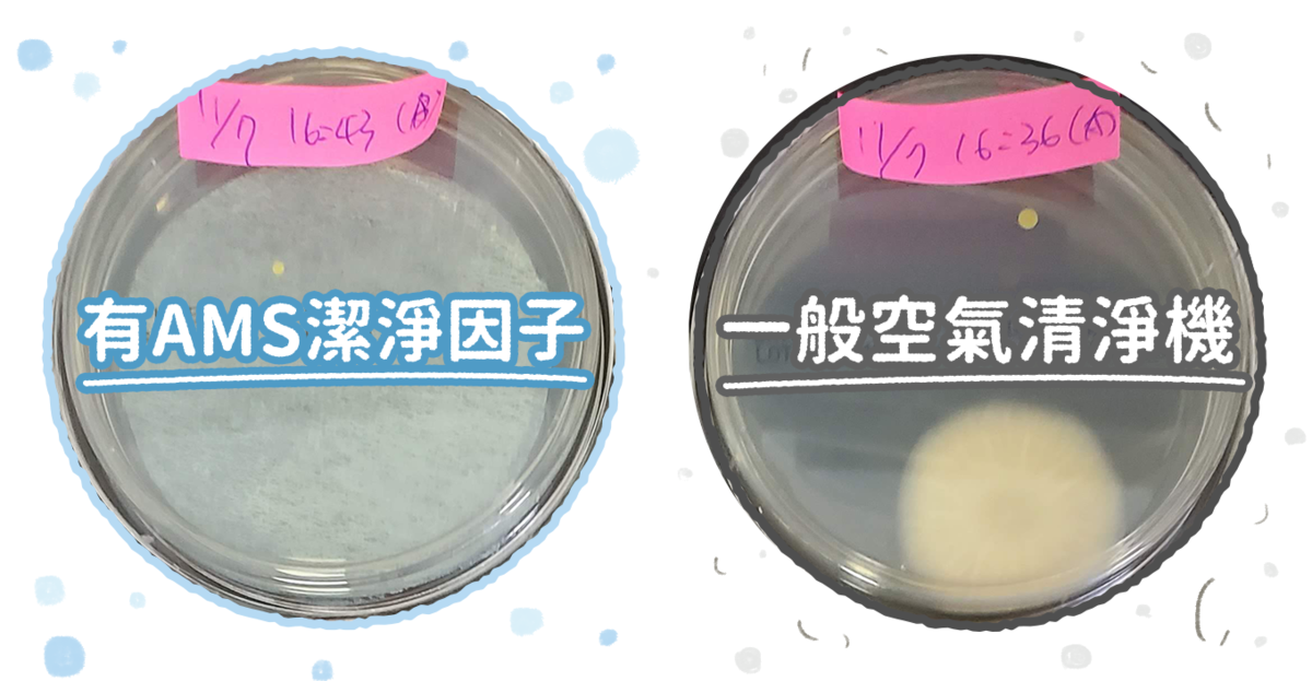 BRISE C260 強效抗菌前置濾網 (Breathe Bio) - asset 224890 image big