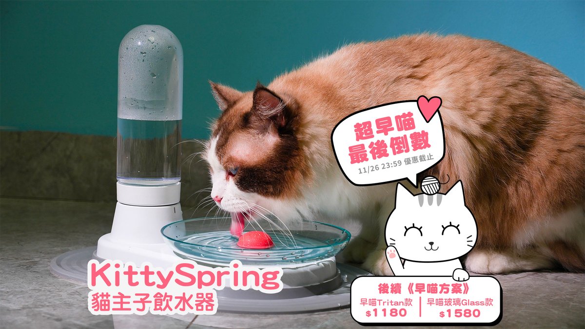 嘖嘖 KittySpring 貓主子飲水器│100%安全無毒材質，給貓咪最自然的喝 