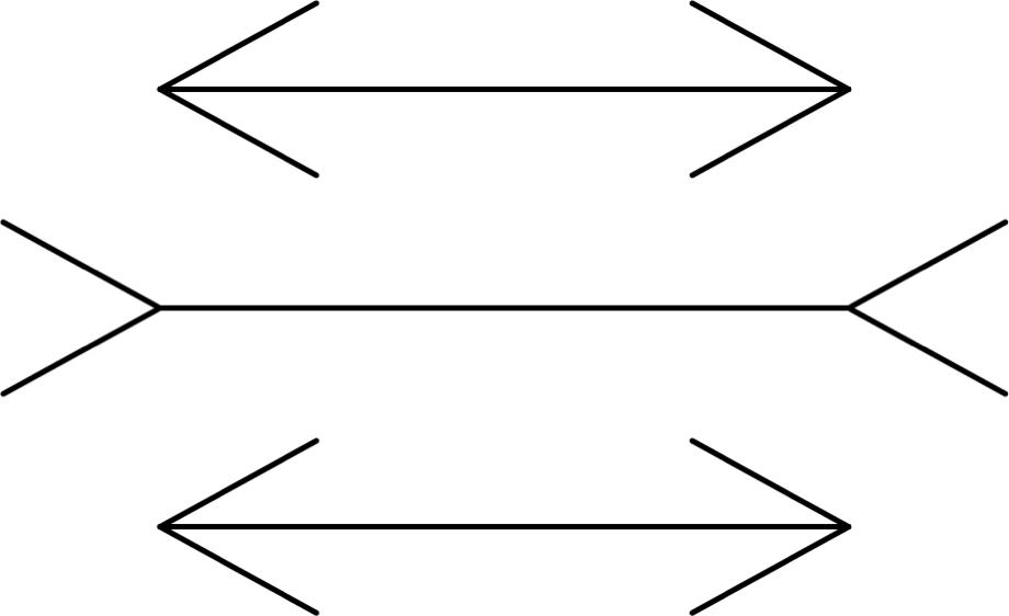 目の錯覚・錯視.png 目の錯覚・錯視