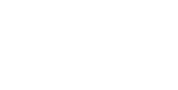 ZOA Portfolio