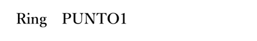 Ring　PUNTO1