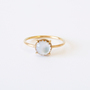 【受発注】RING FRAME2