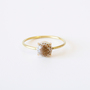 【受発注】RING PUNTO1