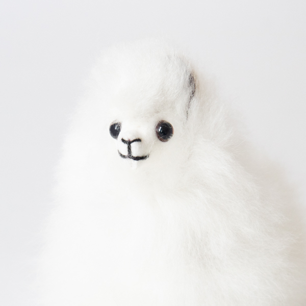 ALPACA WHITE