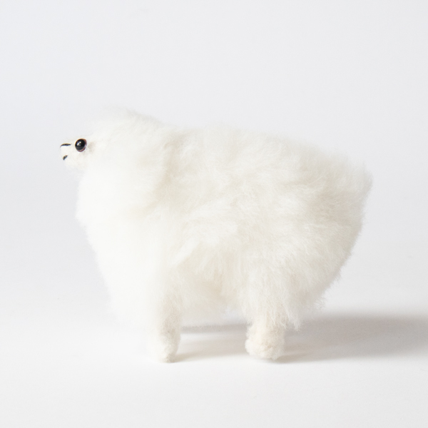 SHEEP WHITE