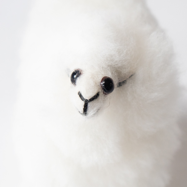SHEEP WHITE