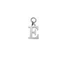 【受発注】Baqless用チャーム Ludique Letters