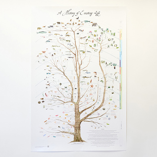 ポスター Tree of Life Poster 61×91.5