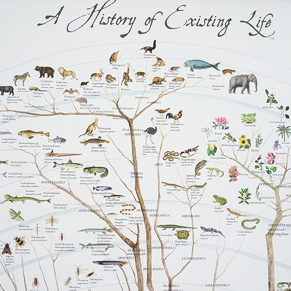 現存する生物の進化過程を描いています