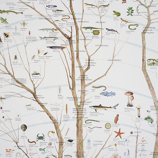 さまざまな動植物が一つの木に描かれている様子は見ていて飽きません