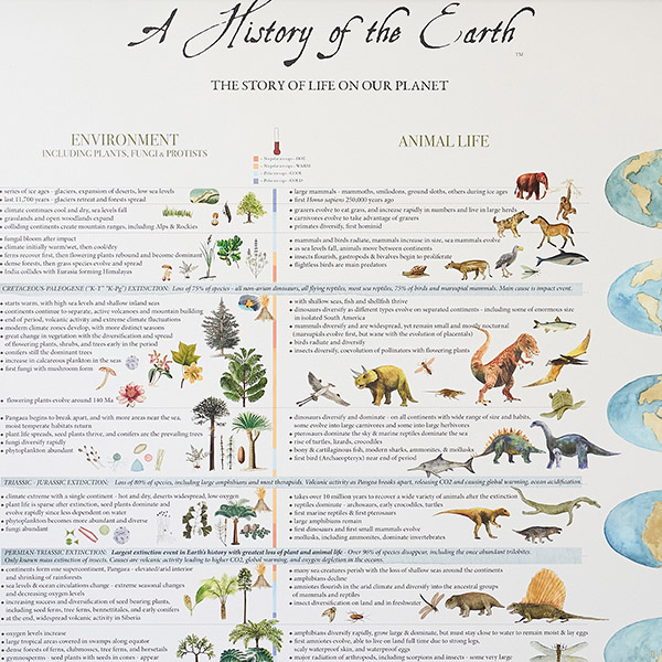 各時代の動植物の進化を、現存生物と絶滅生物の両方で描いています