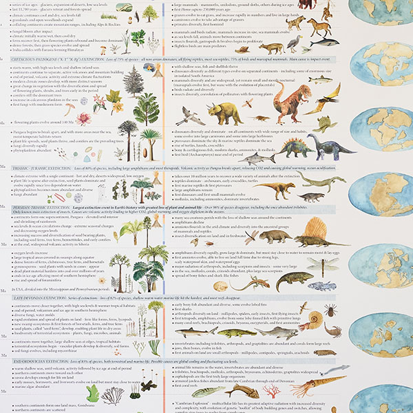 同時に、気候変動や大陸移動も時系列で図解