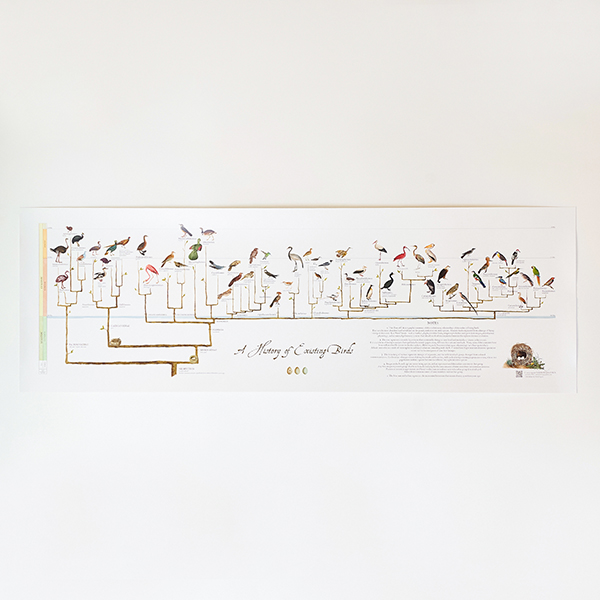 鳥類の歴史（A Hist of Existing Birds）