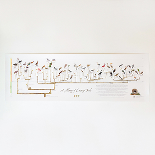 ポスター Tree of Life Poster 30.5×91.5